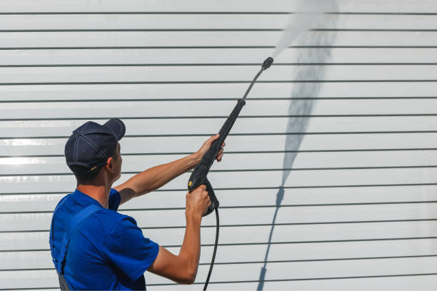 siding-cleaning