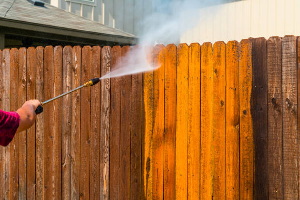 fence-cleaning