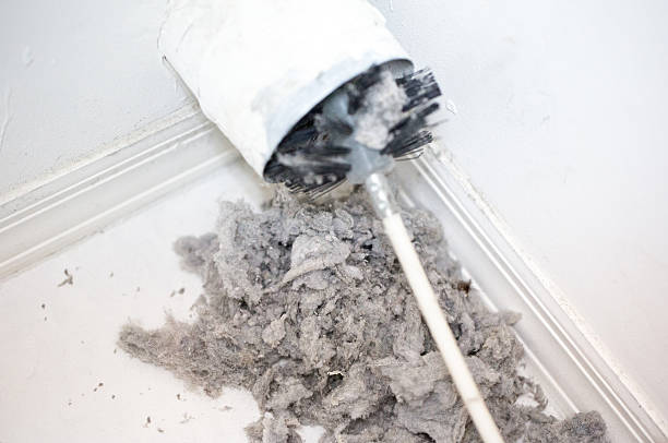 cleaning-dryer-vent